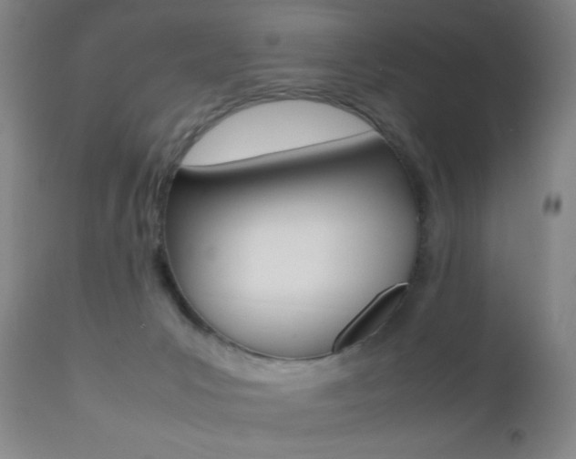 X0000112510031200908171059