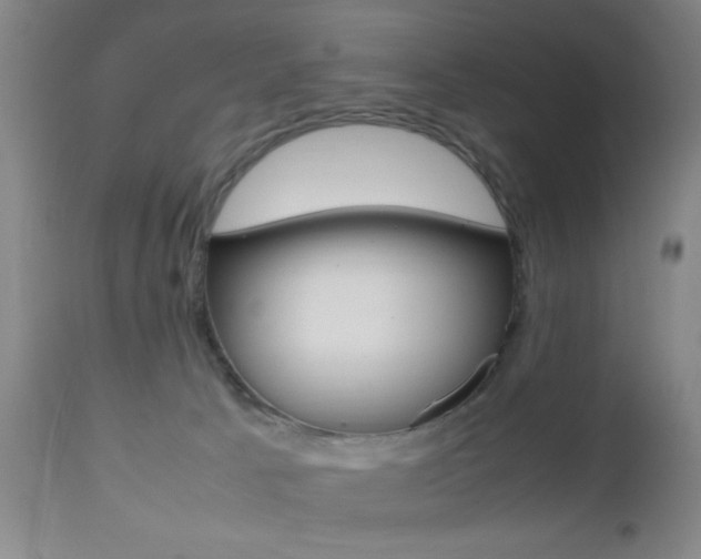 X0000112510033200908171059