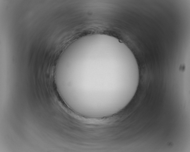 X0000112510034200908171059