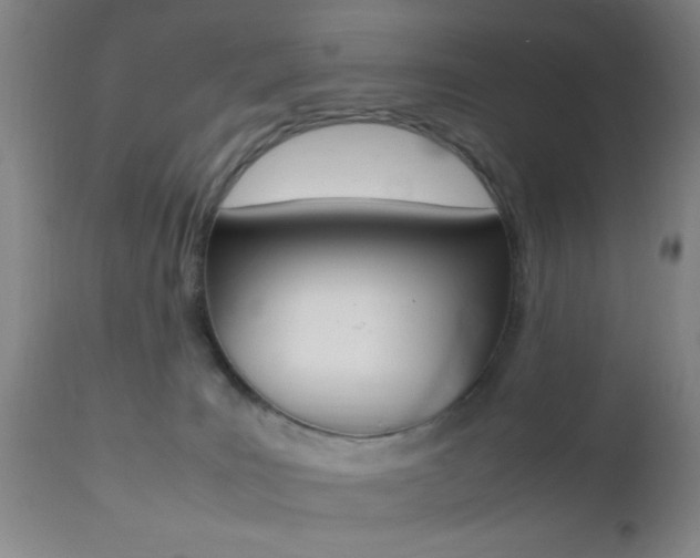 X0000112510035200908171059