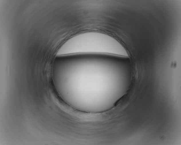 X0000112510036200908171059