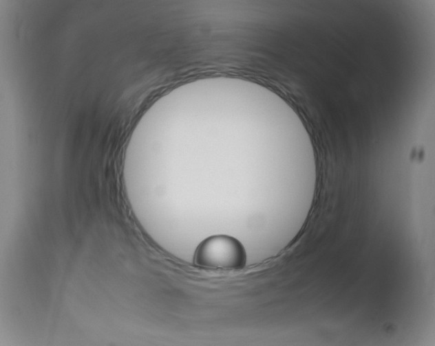 X0000112510037200908171059