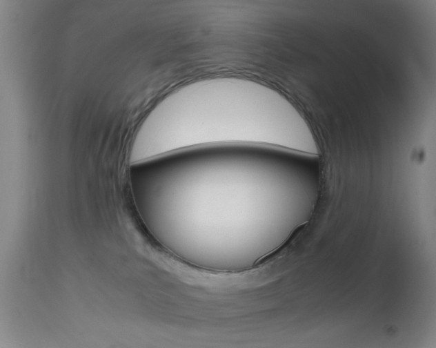 X0000112510039200908171059