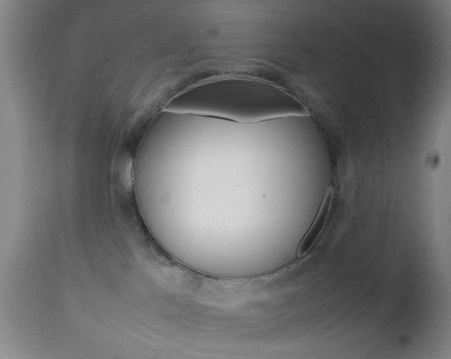 X0000112510041200908171059