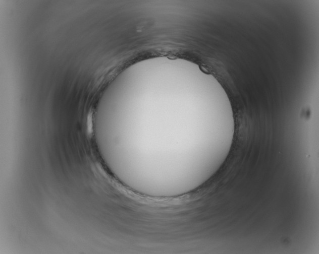 X0000112510042200908171059