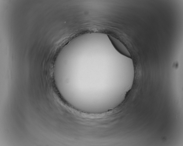 X0000112510043200908171059