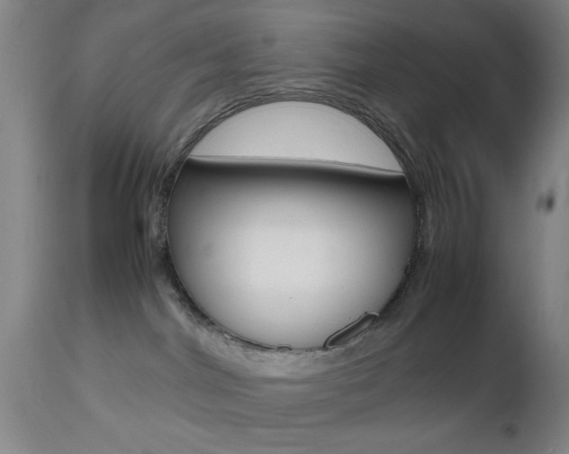 X0000112510044200908171059