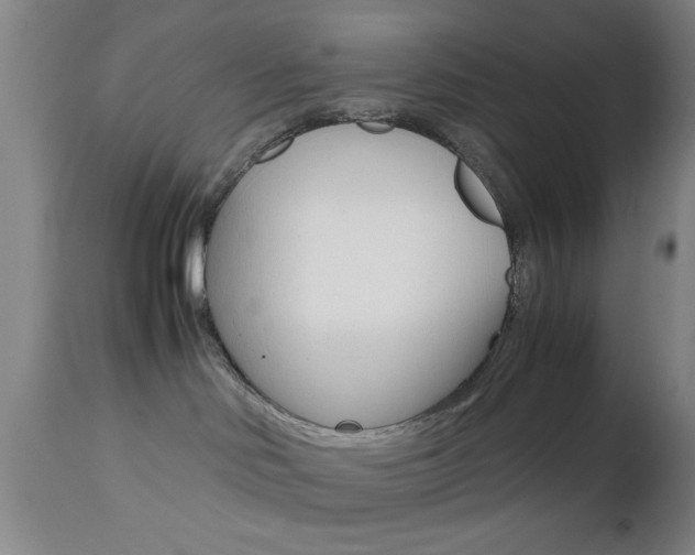 X0000112510046200908171058