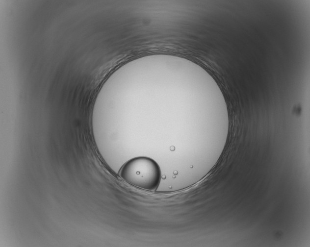 X0000112510047200908171058