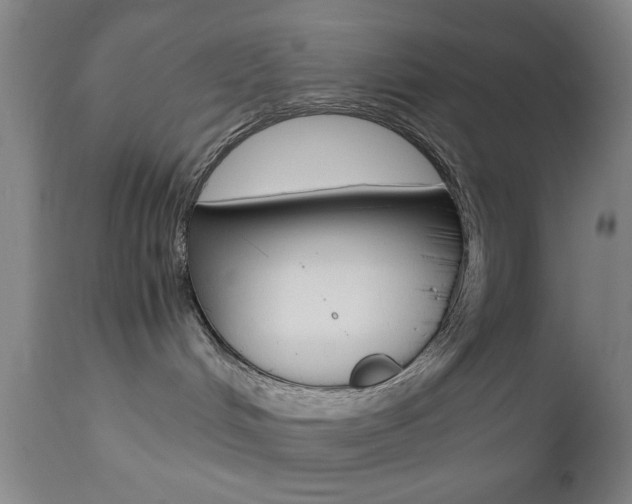 X0000112510048200908171058
