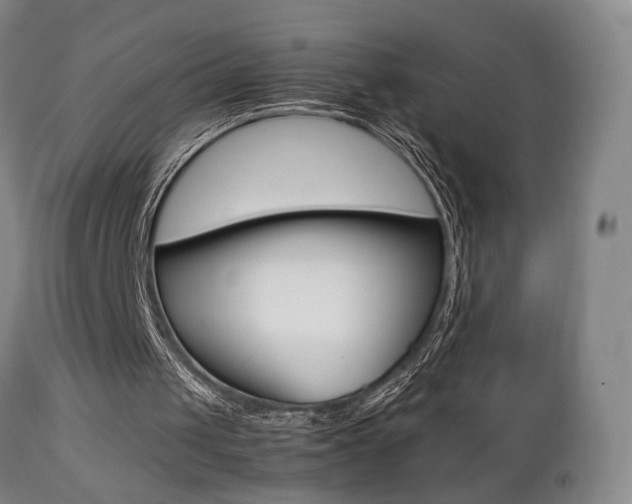X0000112510049200908171058