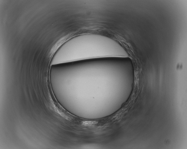 X0000112510051200908171058