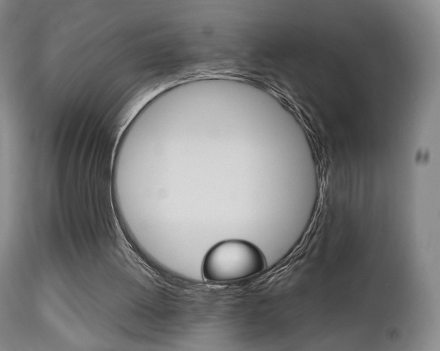 X0000112510052200908171058