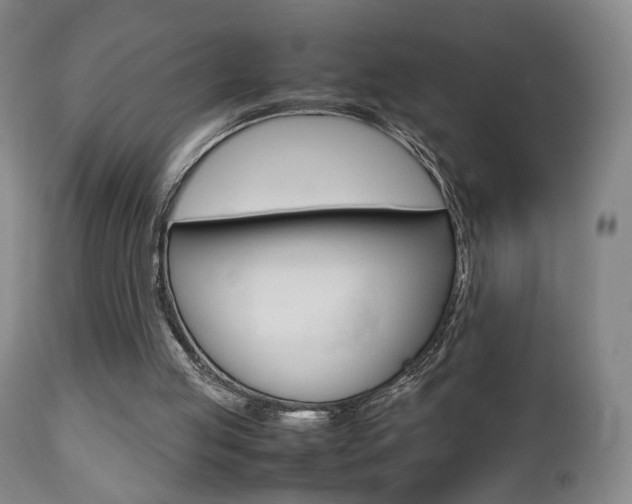 X0000112510053200908171058