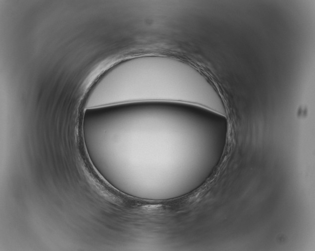 X0000112510054200908171058