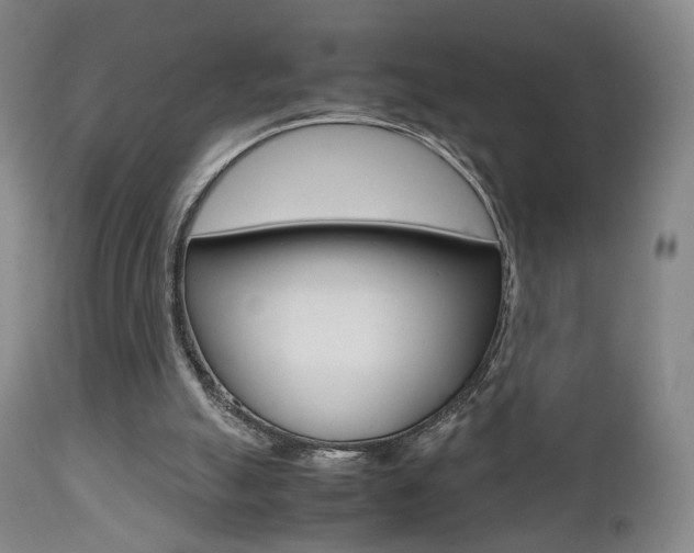 X0000112510055200908171058