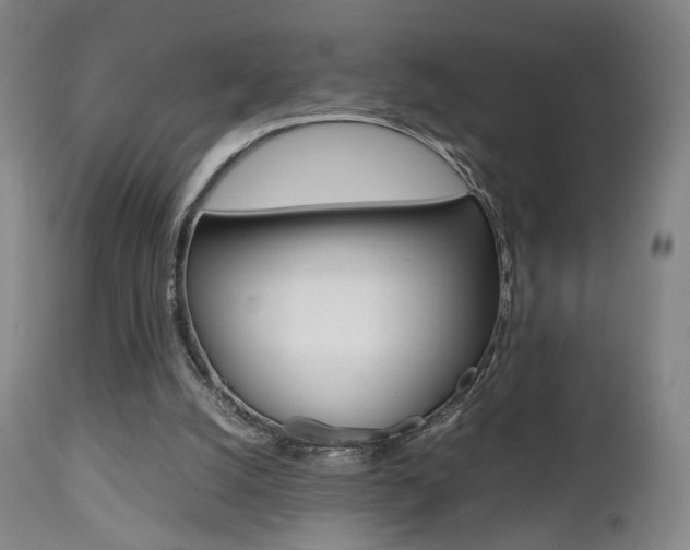 X0000112510056200908171058