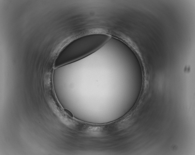 X0000112510057200908171058