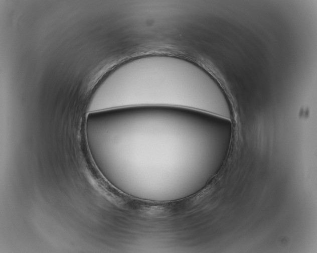 X0000112510058200908171058