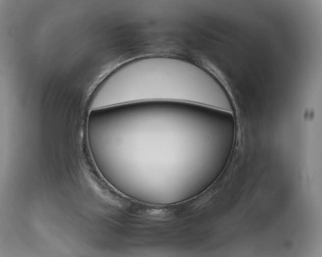X0000112510059200908171058