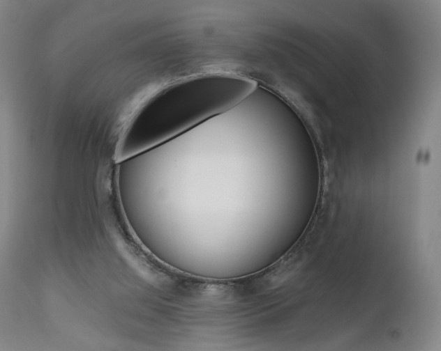 X0000112510060200908171058