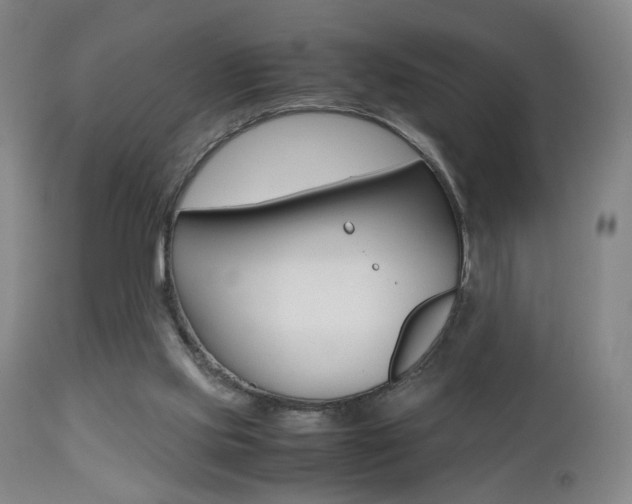 X0000112510061200908171058