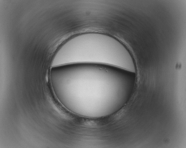 X0000112510062200908171058