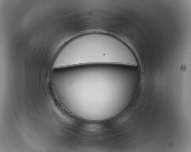 X0000112510063200908171058
