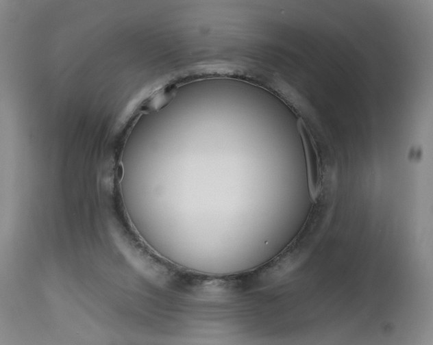 X0000112510064200908171058