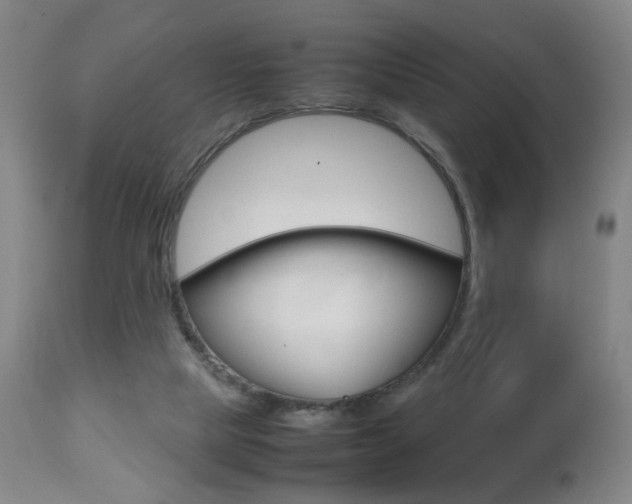 X0000112510065200908171058