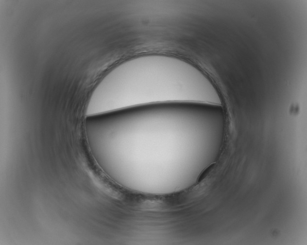 X0000112510066200908171058