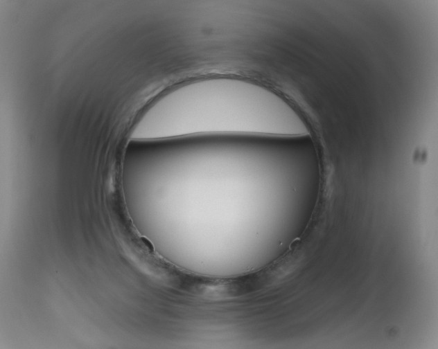 X0000112510068200908171058