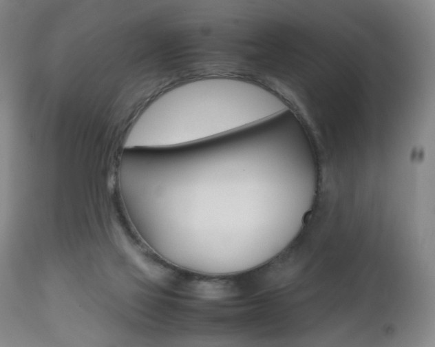 X0000112510069200908171058