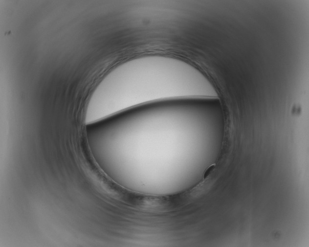 X0000112510070200908171058