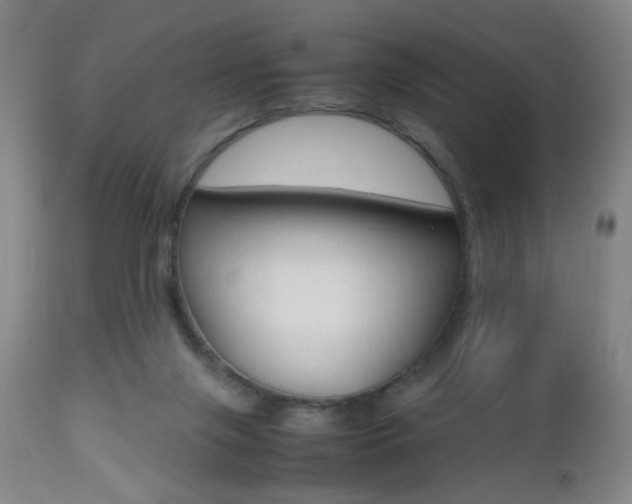 X0000112510071200908171058