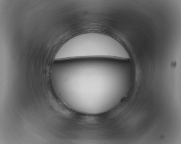 X0000112510073200908171058