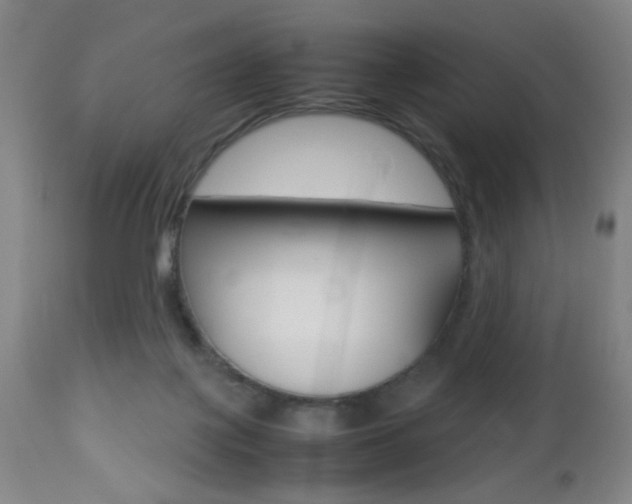 X0000112510075200908171058