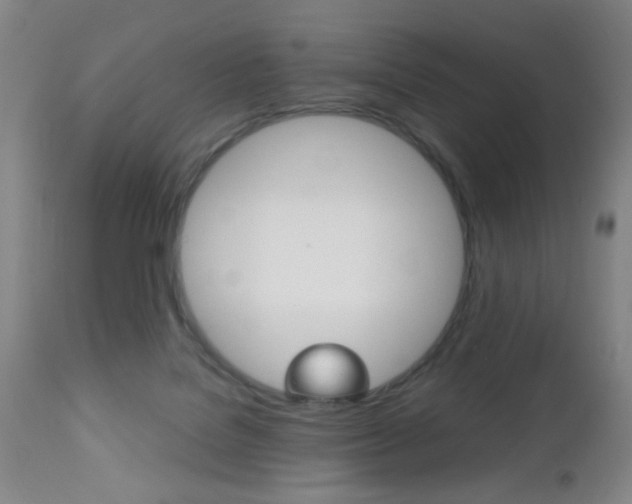 X0000112510076200908171058