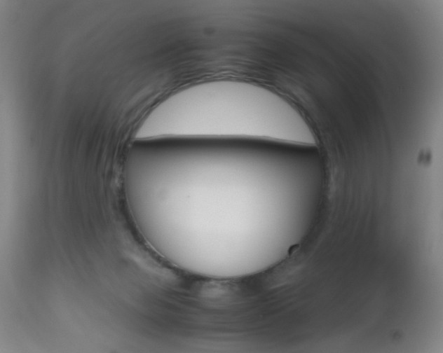X0000112510077200908171058