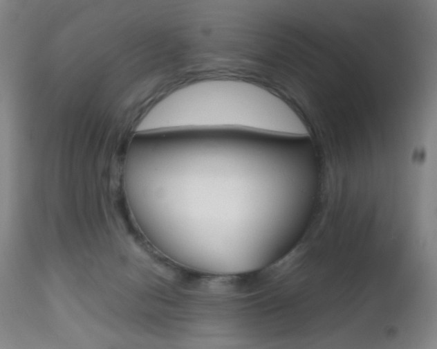 X0000112510078200908171058