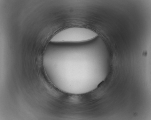 X0000112510079200908171058