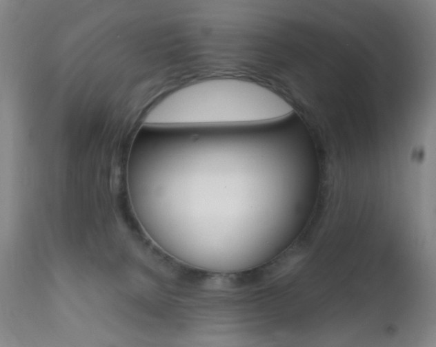 X0000112510080200908171058