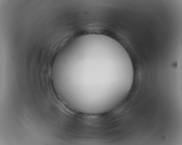 X0000112510081200908171058