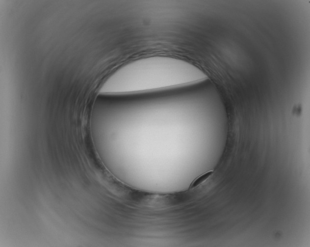 X0000112510082200908171058