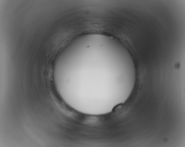 X0000112510083200908171058