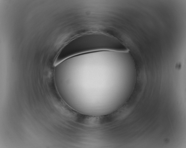 X0000112510084200908171058
