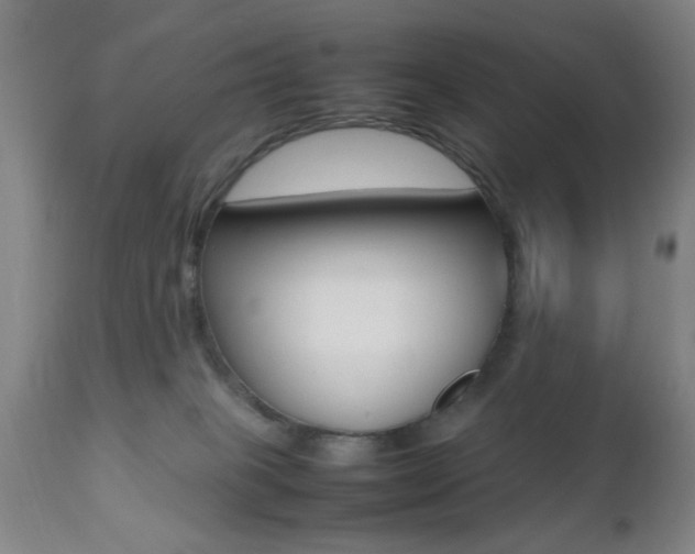 X0000112510085200908171058