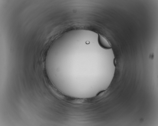 X0000112510086200908171058