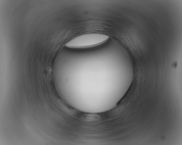 X0000112510087200908171058