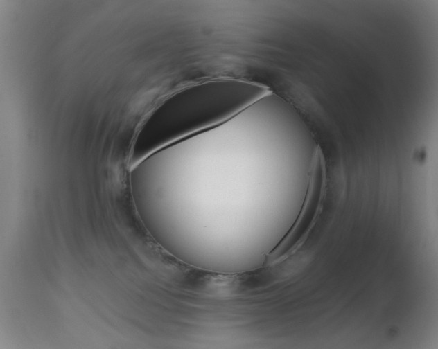 X0000112510088200908171058